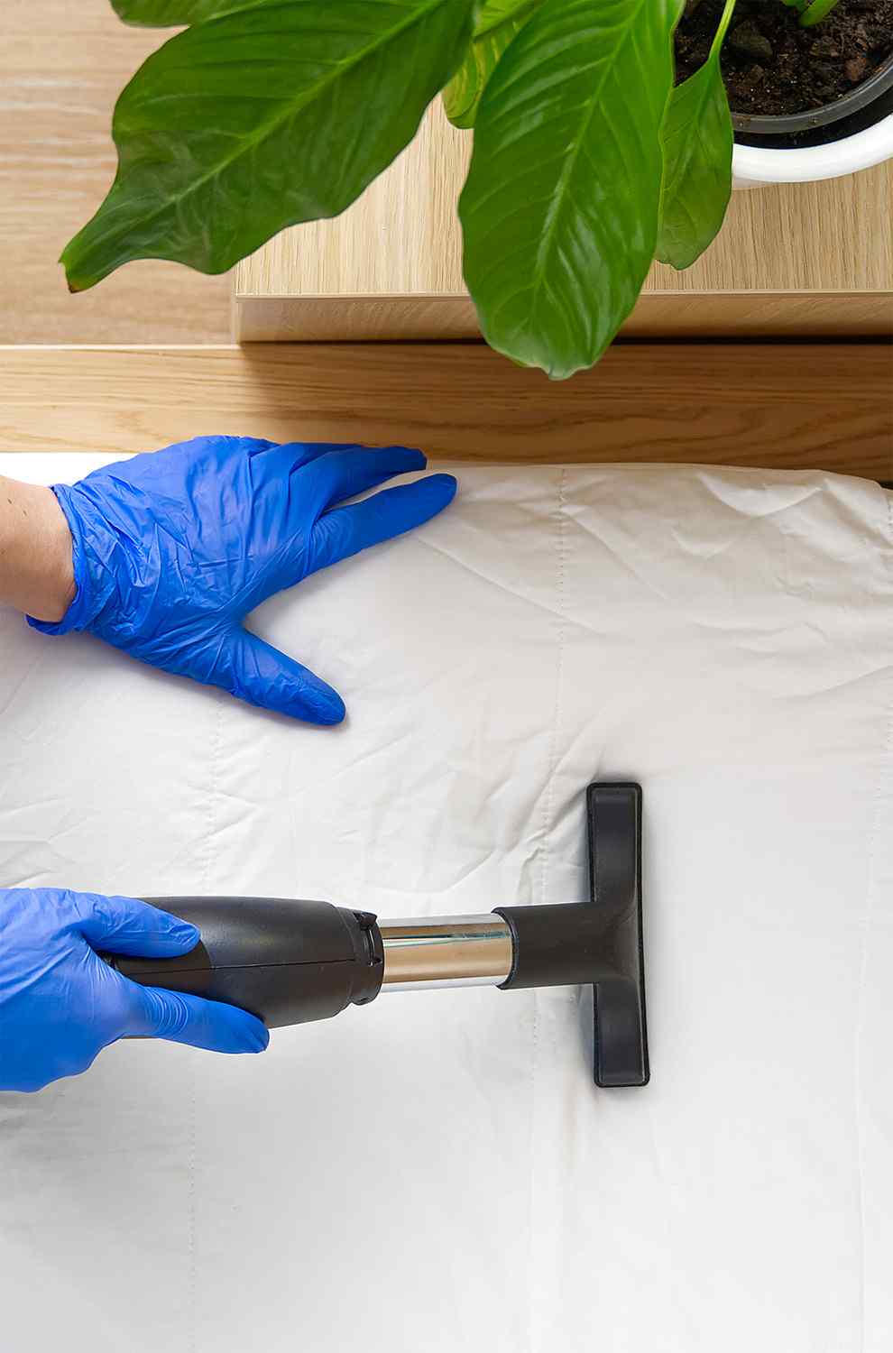 image_01_testimonials https://mynetcleaning.be/wp-content/uploads/2025/07/image_01_testimonials.jpg